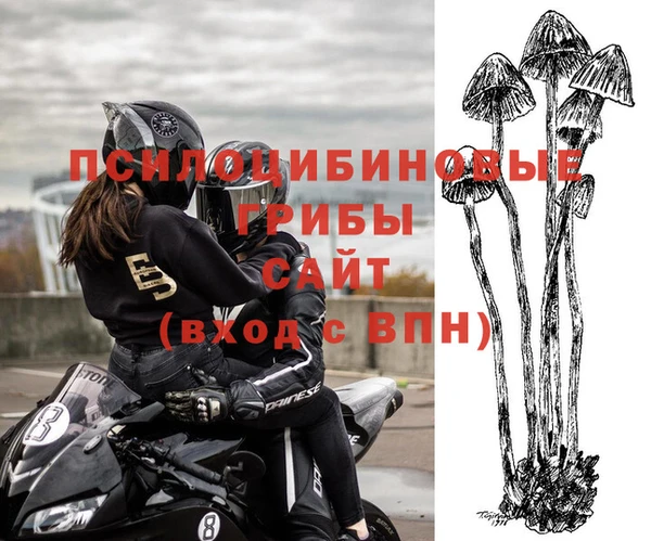 таблы Арсеньев