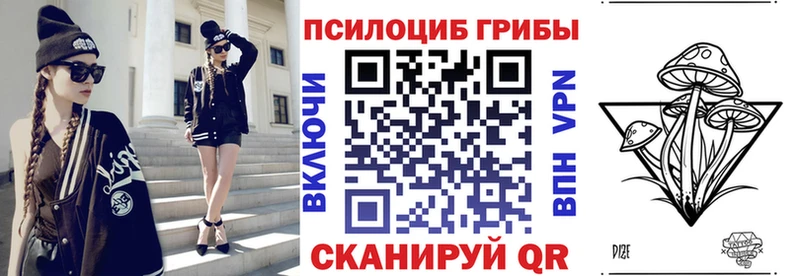 где найти   Сенгилей  Галлюциногенные грибы GOLDEN TEACHER 